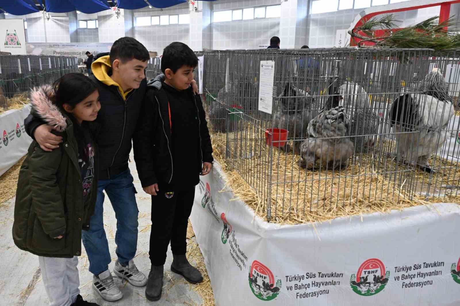 Farklı ırklardan bin 750 kanatlı hayvan ve süs tavuğu Isparta’da
