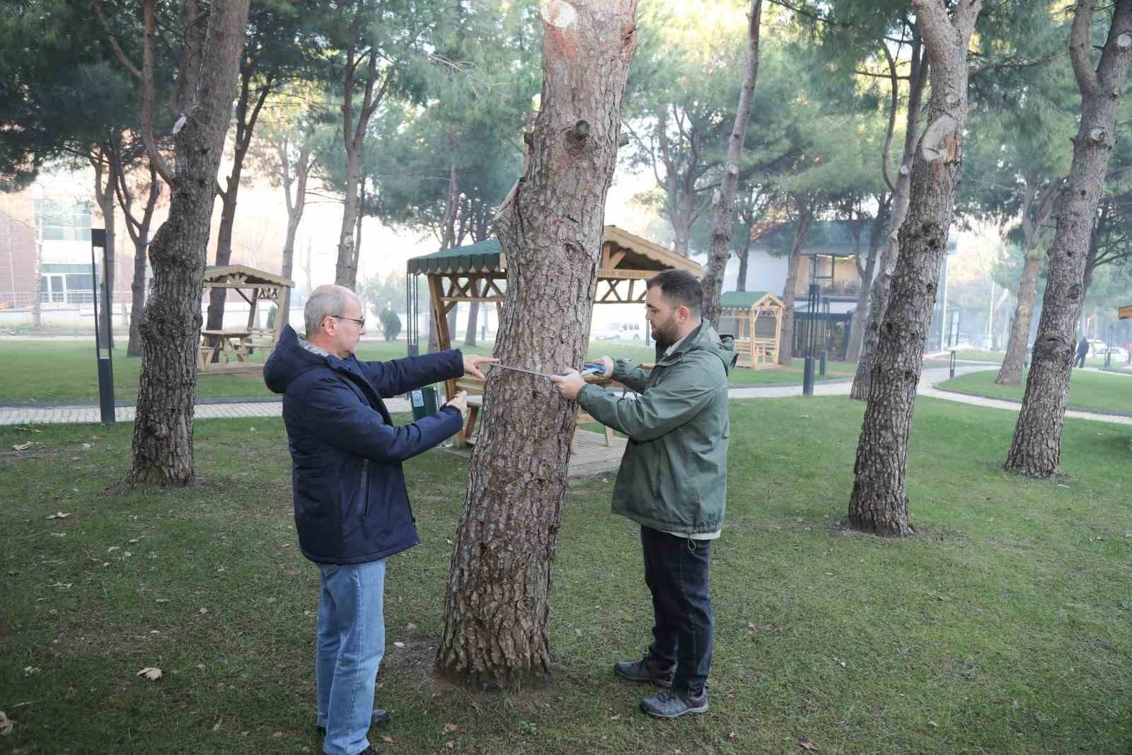 BTÜ’de orman envanterine katkı sağlayacak proje geliştiriliyor
